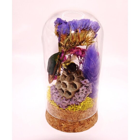 June Bug Carpenter Bee & Wasp Nest Oddity Jar taxidermy curiosity goth witchy - Picture 4 of 12